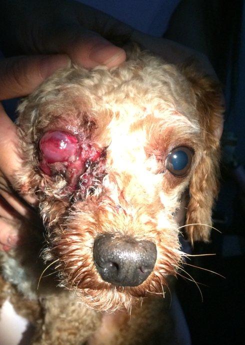 [转载]视力的杀手-----青光眼!