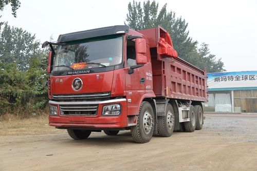 陕汽商用车 轩德翼6 强劲版 270马力 8x4 6.