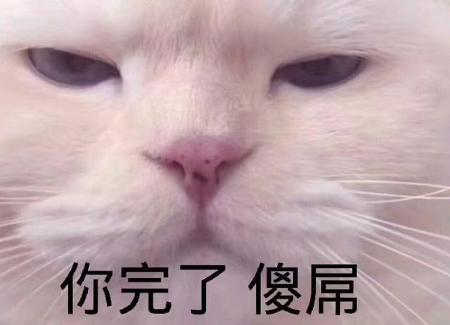 表情包:直视我,崽种