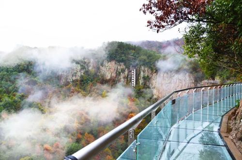 四明山国家森林公园