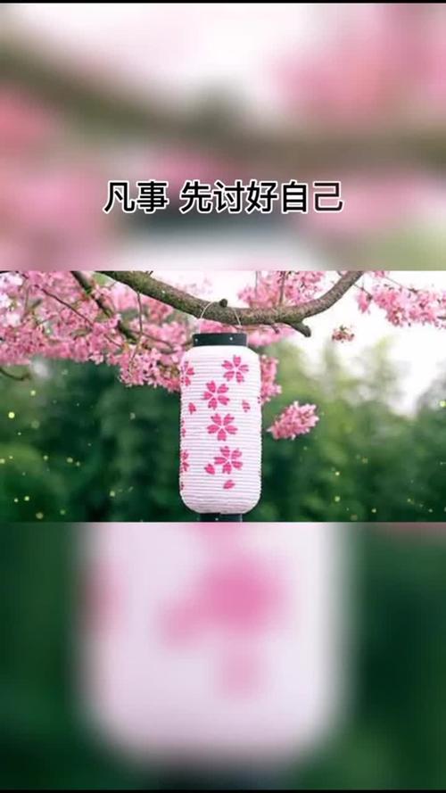 半生已过让我们明白了很多看透不说透余生很贵请不要轻易浪费情感语录
