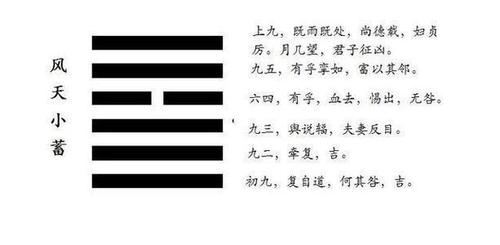 读《易经》之九小畜卦:风天小畜