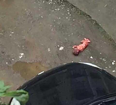 城南高楼有人抛弃女婴?警方已展开取证调查