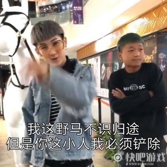 快手寒王表情包大全 土味经典语录
