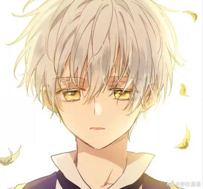 某天成为公主伊尔