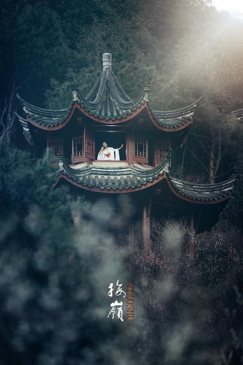 梅花吟主题古风摄影艺术作品