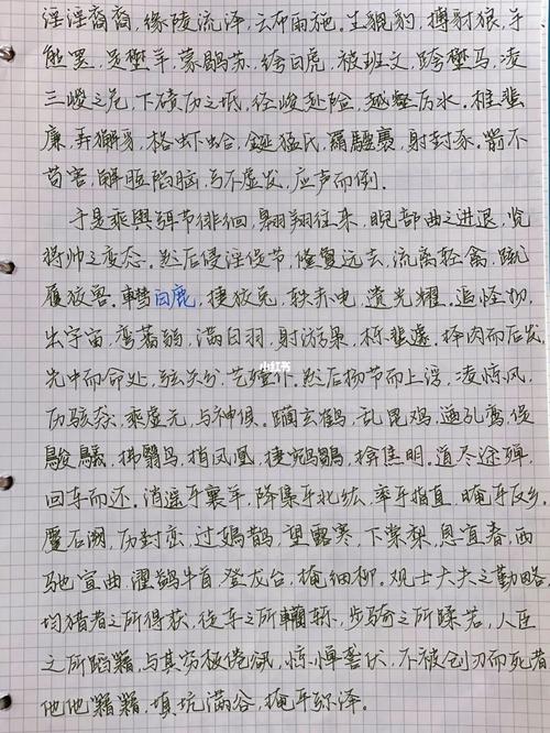 手抄|《上林赋》_kaco怎么样_周生如故_文化_书法