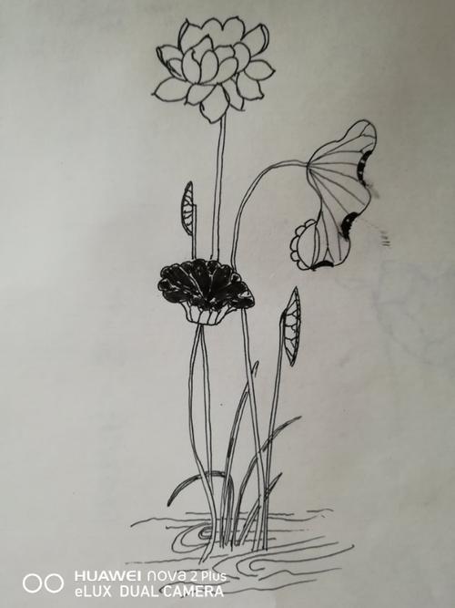 在路上一一钢笔画(1)