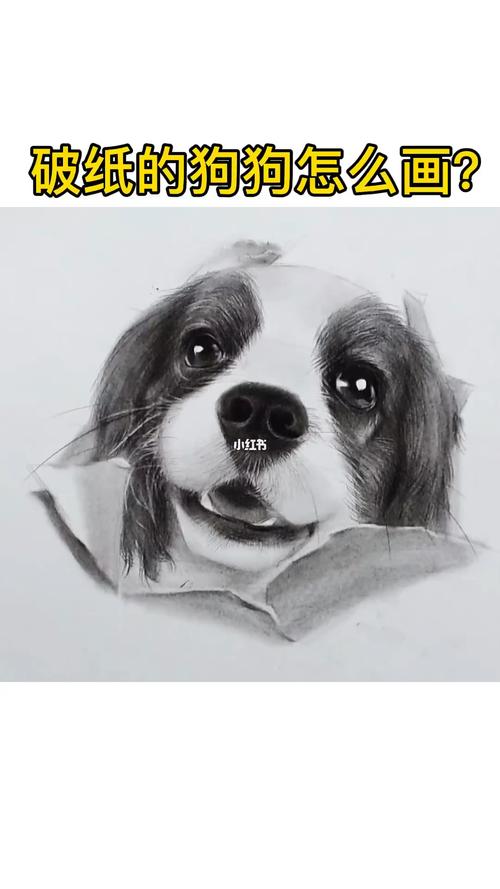 保姆级讲解教程,破纸狗狗来咯_教程_素描_狗狗_绘画_素描动物_兴趣