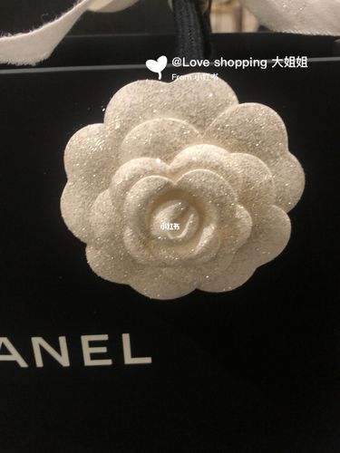 2020 chanel 聖誕限定山茶花_山茶花_香奈儿怎么样_chanel_美妆_香水