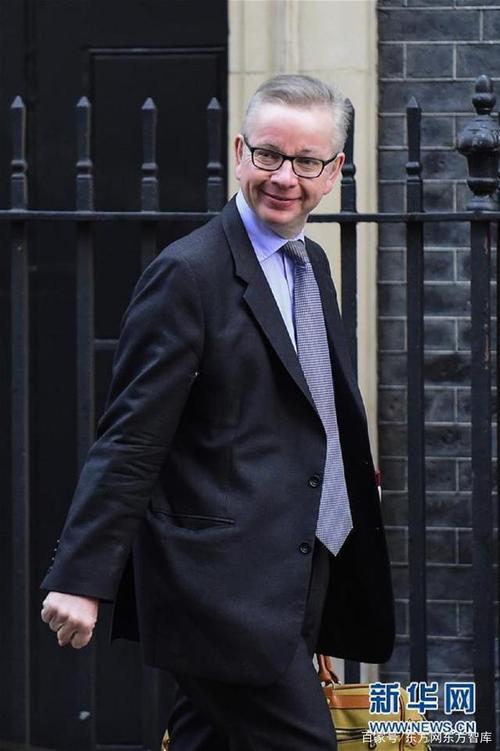资料图片:英国内阁办公厅大臣迈克尔·戈夫(michael gove).