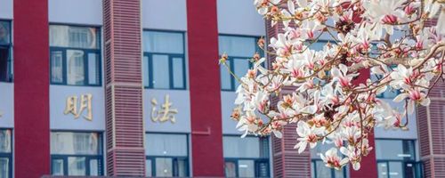 权威发布|中国政法大学2021年高校专项计划招生简章