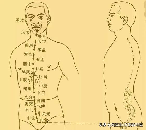 真实世界的任督二脉医生怎么看上