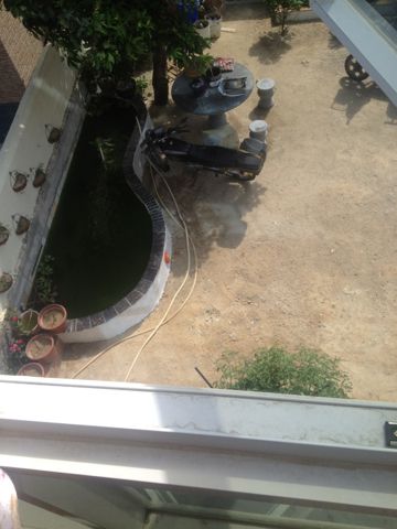 请问院子里可不可以建鱼池呢?