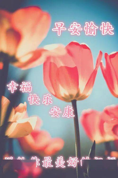 朋友圈最温馨的早安问候祝福短信语录 特别甜蜜的早安问候句子
