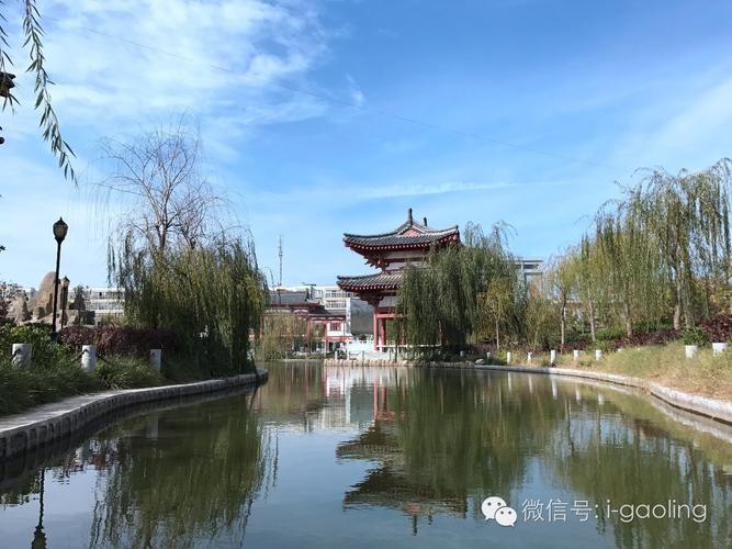 初冬高陵 水景公园
