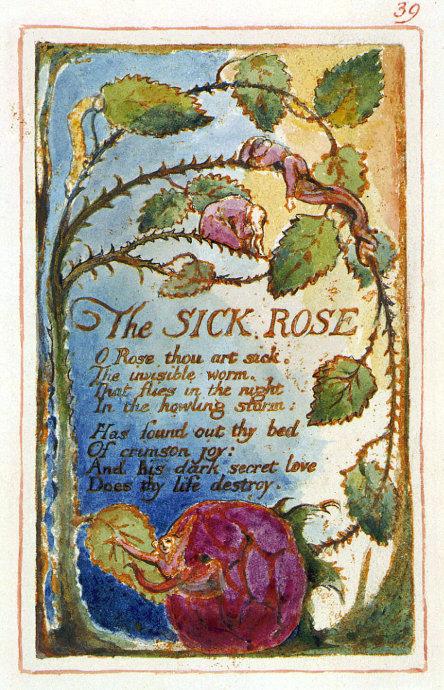 威廉·布莱克  the sick   rose >>