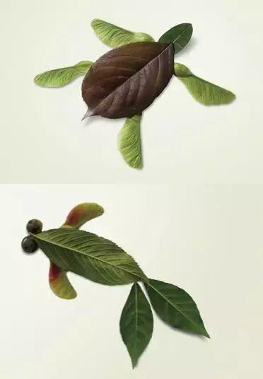 幼儿园作业树叶画,帮你整理了,周末和孩子一起做吧!