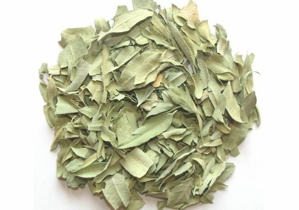 中药罗布麻叶有哪些功效?泡水喝对身体有5个好处,但3