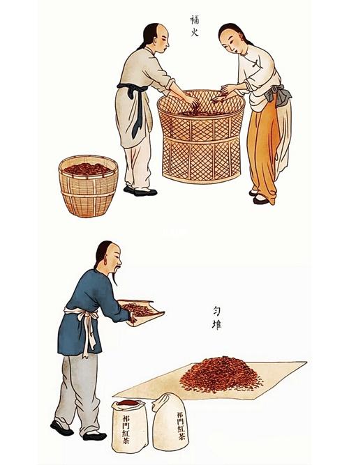 精致手绘,祁门红茶传统手工制作流程图9215_茶叶