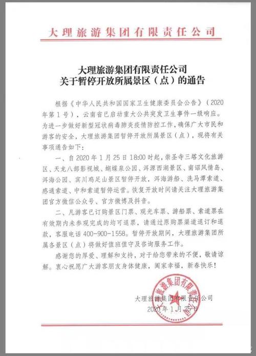 别样年味 大理潘正伟