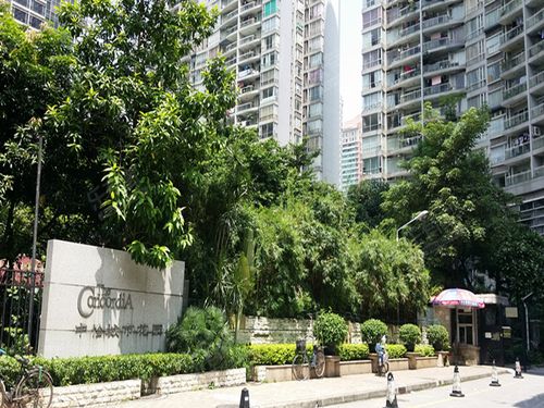 中怡城市花园 普通住宅 小区图1
