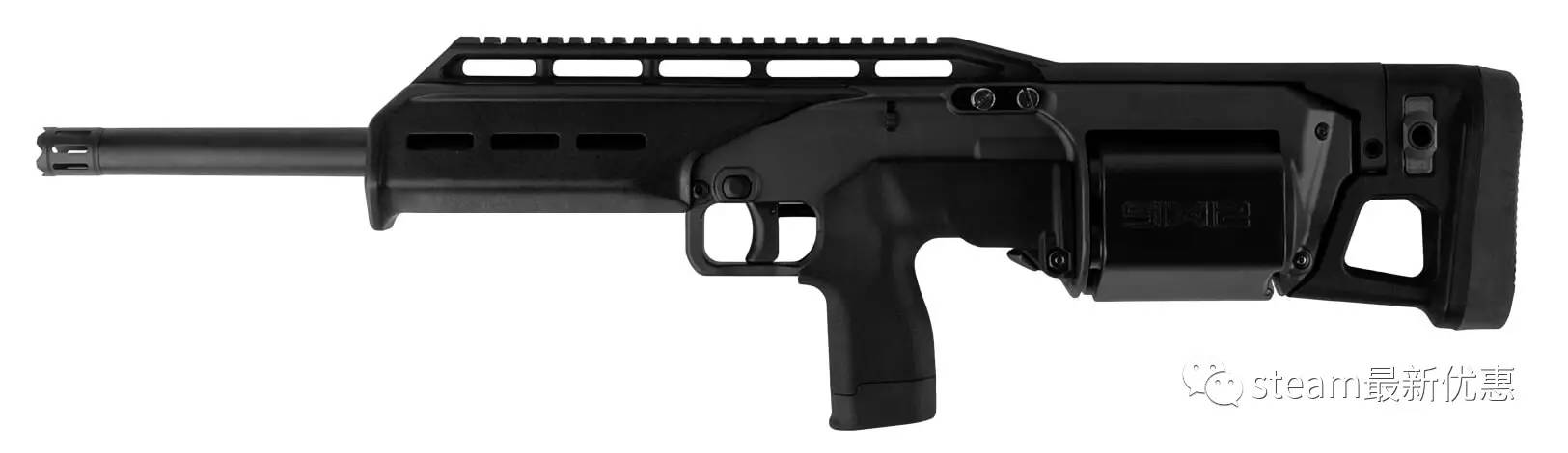 现实中的six12霰弹枪现实中的95式轻机枪以上就是官方公布的关注ying