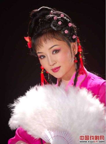 梅花泪 爱的世界只有你 黄梅戏          胡蜜丹,中国内地女歌手