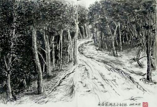 钢笔写生:南昌前湖小树林