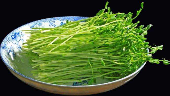 18种野菜治18种疾病