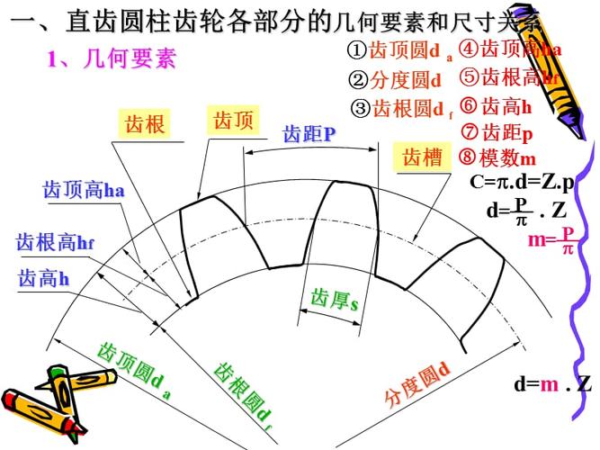 机械制图齿轮的画法ppt
