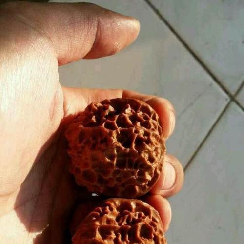 极品深纹路蛤蟆铁核桃