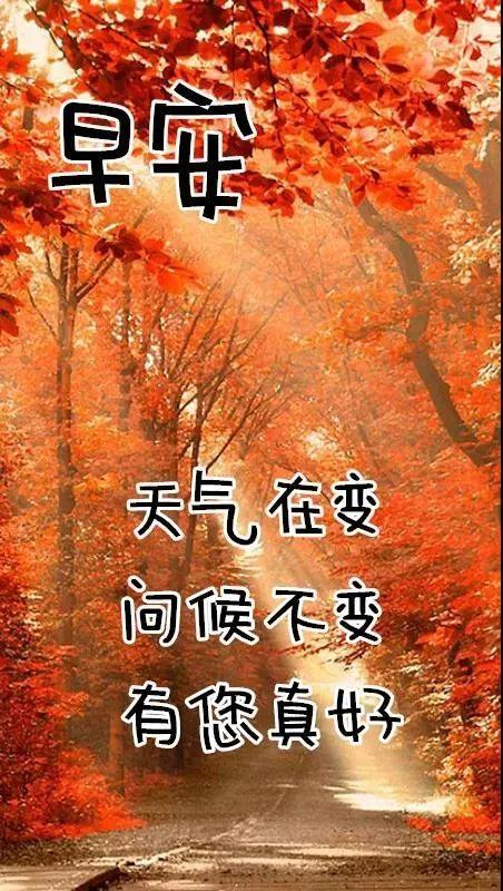 最美冬日风景早上好图片带祝福语微信群发早上好问候语问候图片大全