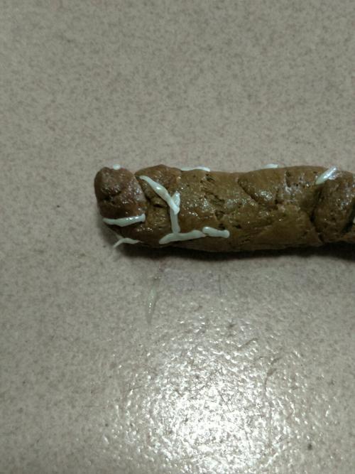 今天早上发现狗狗拉的粑粑有白色的小虫,狗狗平时都吃