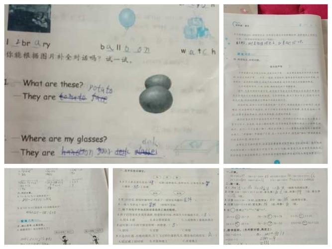 孙浩明的假期生活