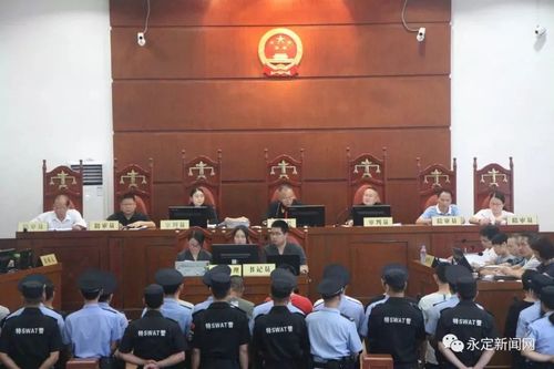 永定法院公开审理首起恶势力犯罪集团案件