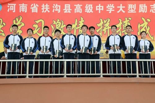 二,15班李郁航带领全体同学宣誓 扶沟县高级中学 ▼ 校训:朴 诚 勇
