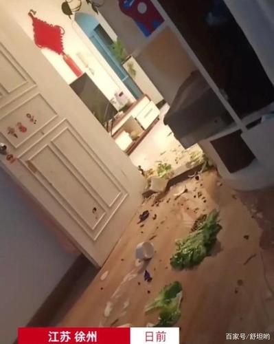 江苏一对夫妻争吵,妻子暴怒,男子躲卧室,拍妻子砸摔家居用品