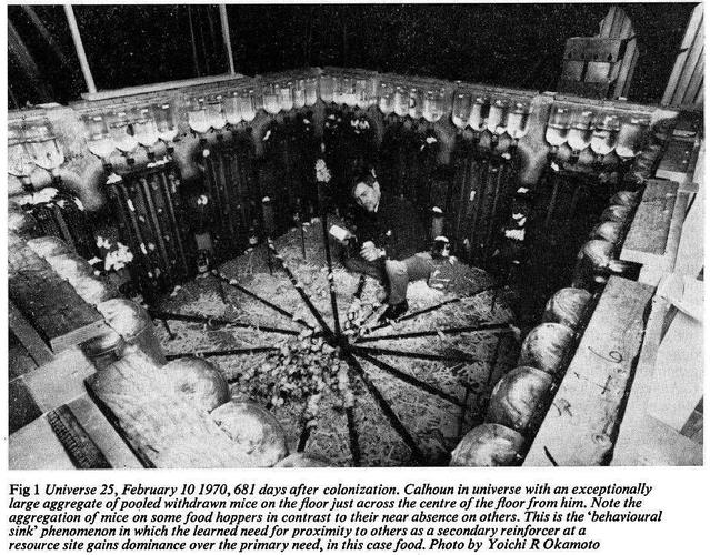 鼠族乌托邦:人类最后的命运会走向何方?