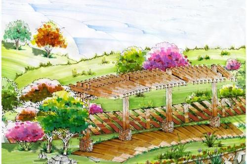 花架手绘图图片