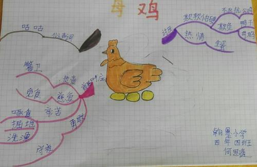 四年四班《母鸡》思维导图集