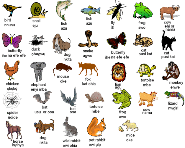 英语动物单词总结