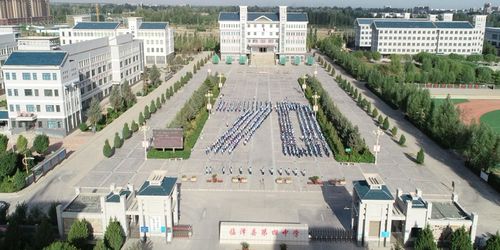 地址(位置,怎么去,怎么走):  甘肃省张掖市临泽县沙河镇滨河路第四