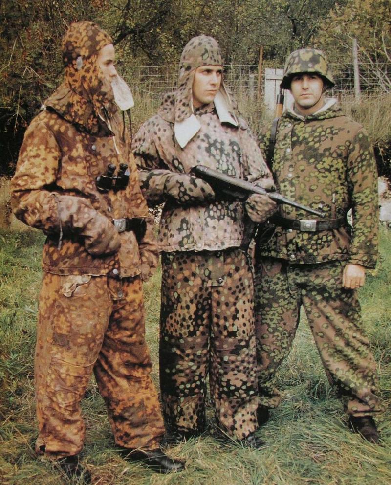 一支就是德国陆军的"大德意志"师,所以"只有党卫军才成建制装备迷彩