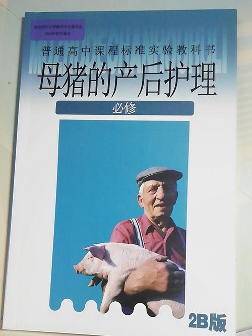 恶搞老婆的愚人节礼物,原创二次元母猪的产后护理教科