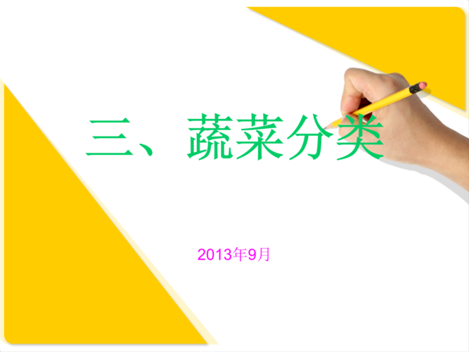 蔬菜分类.ppt