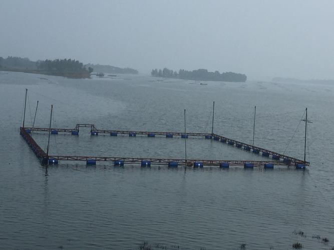 沅江江海 抬网 抬网批发 抬网价格 抬网采购 抬网厂家 安装定置网