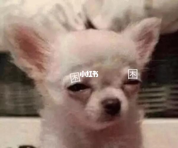 沙雕的朋友圈文案 配图④_文案_朋友圈_工作_沙雕_高冷_朋友圈文案