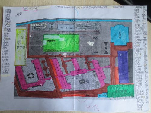 晒晒安阳实验小学校园生物分布图
