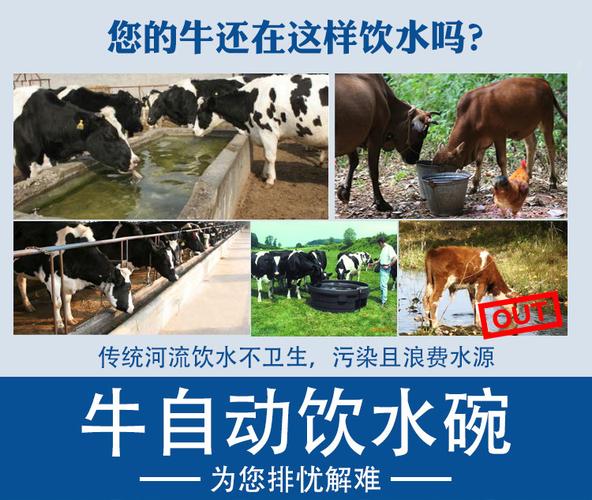 昊牧牛喝水的自动饮水碗安装视频挤压式牛用加厚铸铁铜阀饮水碗